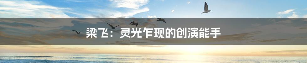 梁飞:灵光乍现的创演能手