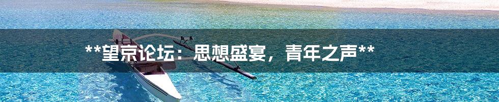 **望京论坛:思想盛宴,青年之声**