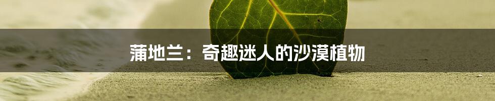 蒲地兰:奇趣迷人的沙漠植物