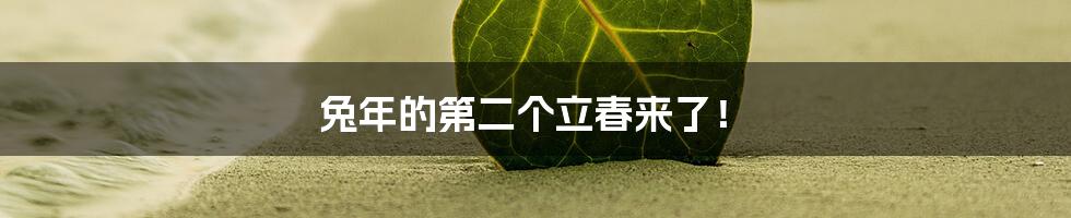 兔年的第二个立春来了!