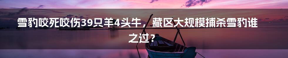 雪豹咬死咬伤39只羊4头牛，藏区大规模捕杀雪豹谁之过？