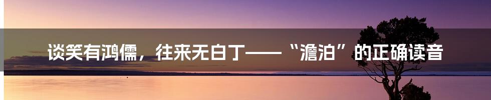 谈笑有鸿儒,往来无白丁——“澹泊”的正确读音