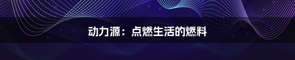 动力源：点燃生活的燃料
