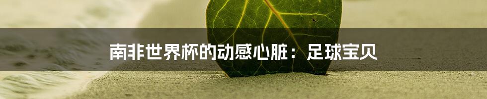 南非世界杯的动感心脏:足球宝贝