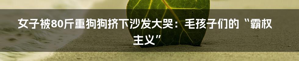 女子被80斤重狗狗挤下沙发大哭:毛孩子们的“霸权主义”