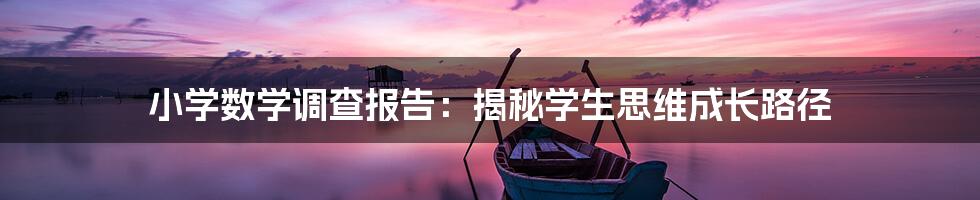 小学数学调查报告:揭秘学生思维成长路径