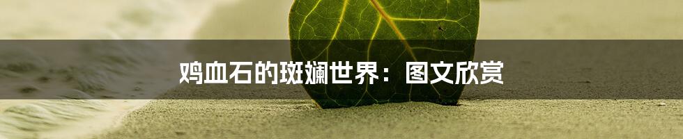 鸡血石的斑斓世界:图文欣赏
