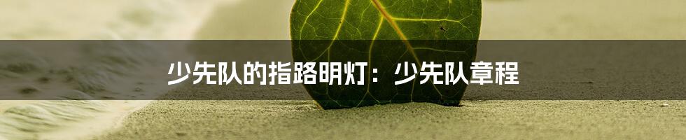 少先队的指路明灯:少先队章程