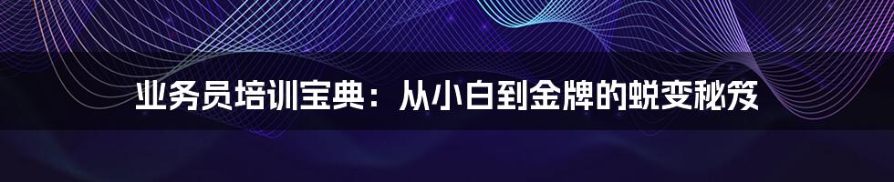 业务员培训宝典:从小白到金牌的蜕变秘笈