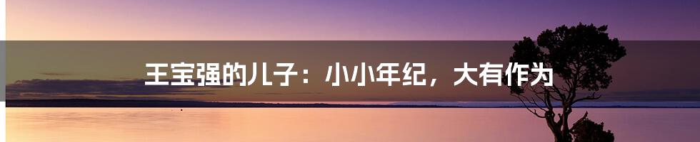 王宝强的儿子：小小年纪，大有作为