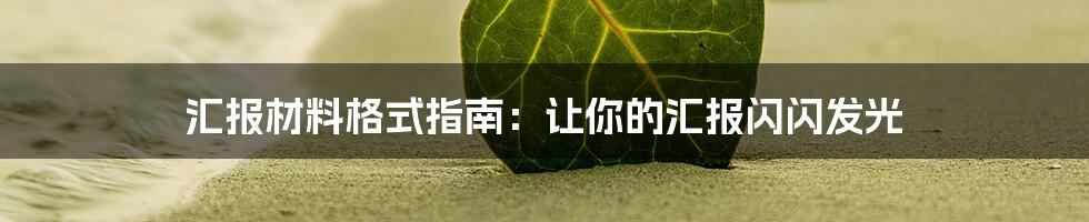 汇报材料格式指南:让你的汇报闪闪发光