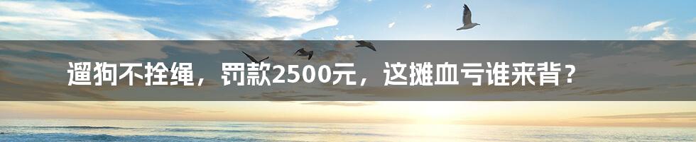 遛狗不拴绳,罚款2500元,这摊血亏谁来背?