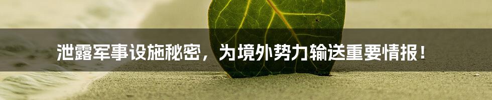 泄露军事设施秘密,为境外势力输送重要情报!