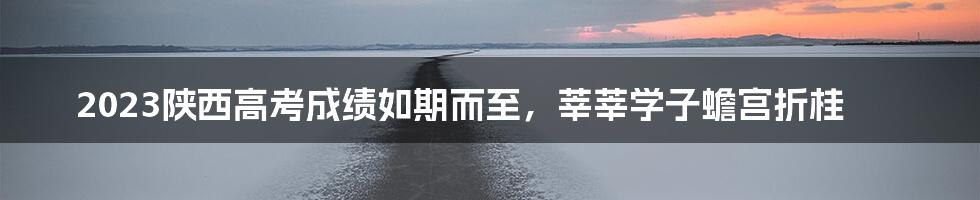 2023陕西高考成绩如期而至,莘莘学子蟾宫折桂
