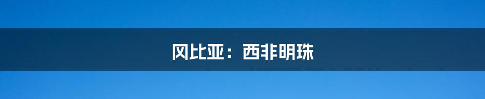 冈比亚:西非明珠