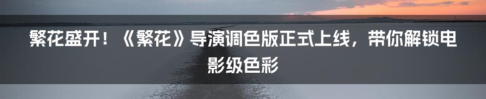 繁花盛开!《繁花》导演调色版正式上线,带你解锁电影级色彩