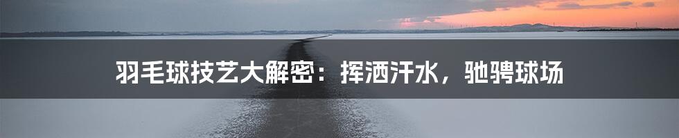 羽毛球技艺大解密：挥洒汗水，驰骋球场