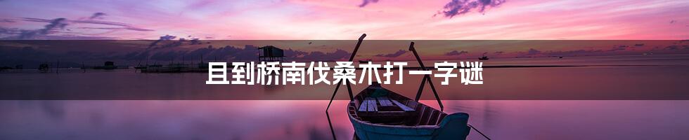 且到桥南伐桑木打一字谜