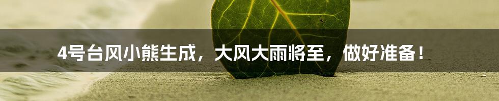 4号台风小熊生成,大风大雨将至,做好准备!