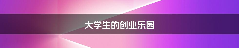 大学生的创业乐园