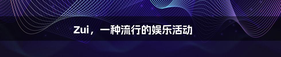 Zui,一种流行的娱乐活动