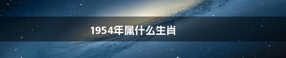 1954年属什么生肖