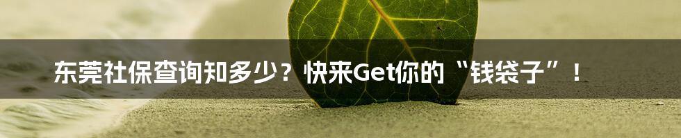 东莞社保查询知多少？快来Get你的“钱袋子”！