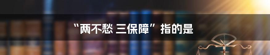 “两不愁 三保障”指的是