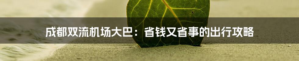 成都双流机场大巴:省钱又省事的出行攻略