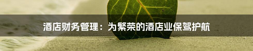 酒店财务管理：为繁荣的酒店业保驾护航