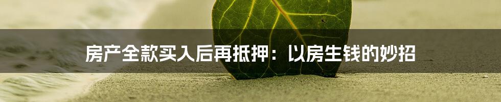 房产全款买入后再抵押:以房生钱的妙招