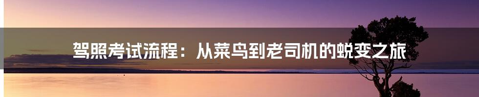 驾照考试流程：从菜鸟到老司机的蜕变之旅