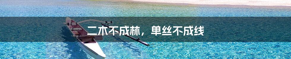 二木不成林，单丝不成线