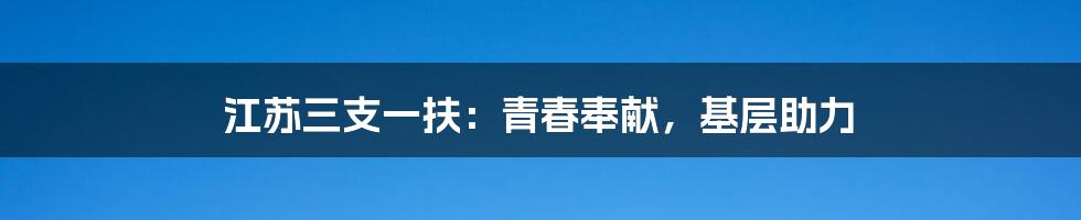 江苏三支一扶:青春奉献,基层助力