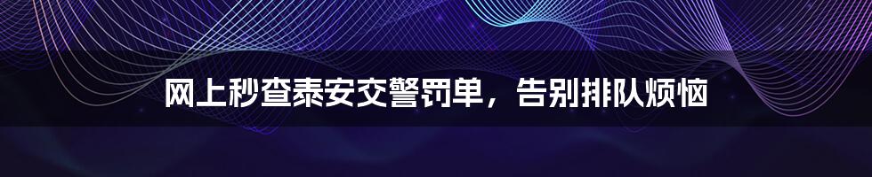 网上秒查泰安交警罚单,告别排队烦恼