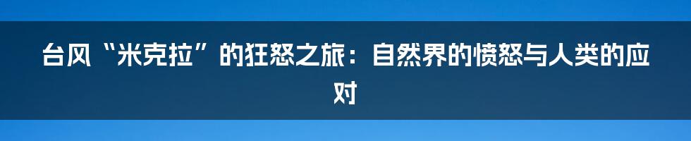 台风“米克拉”的狂怒之旅:自然界的愤怒与人类的应对
