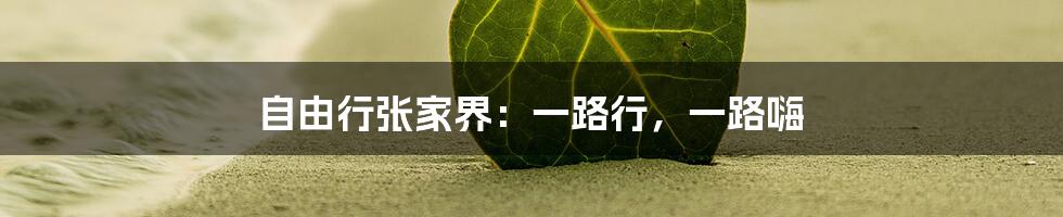 自由行张家界：一路行，一路嗨