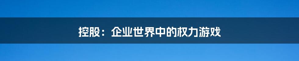 控股:企业世界中的权力游戏
