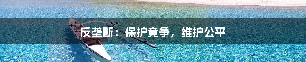 反垄断:保护竞争,维护公平
