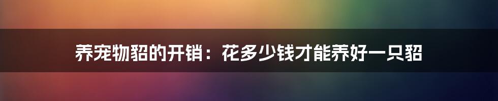 养宠物貂的开销:花多少钱才能养好一只貂