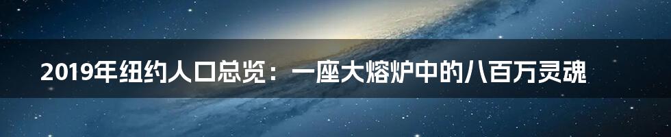 2019年纽约人口总览:一座大熔炉中的八百万灵魂
