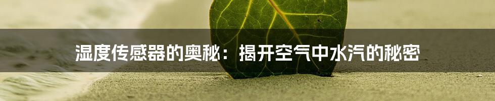湿度传感器的奥秘:揭开空气中水汽的秘密