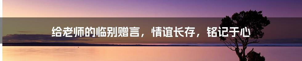 给老师的临别赠言,情谊长存,铭记于心