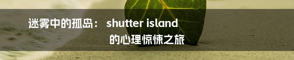 迷雾中的孤岛： shutter island 的心理惊悚之旅