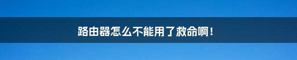 路由器怎么不能用了救命啊!