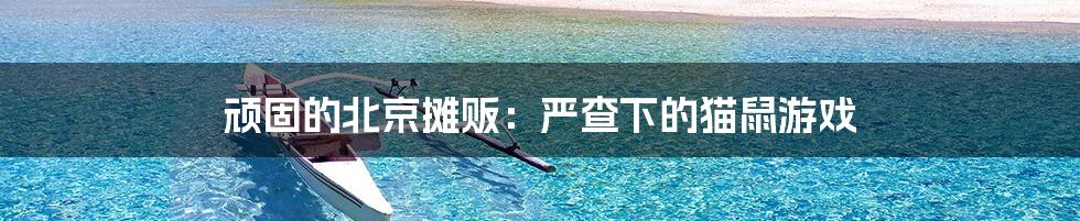 顽固的北京摊贩:严查下的猫鼠游戏