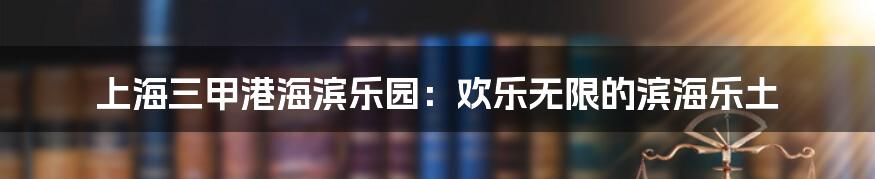 上海三甲港海滨乐园:欢乐无限的滨海乐土