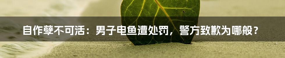 自作孽不可活:男子电鱼遭处罚,警方致歉为哪般?
