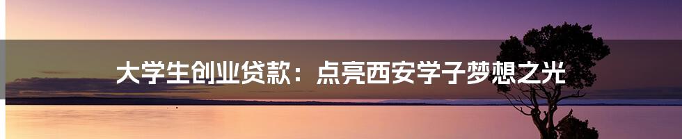 大学生创业贷款:点亮西安学子梦想之光