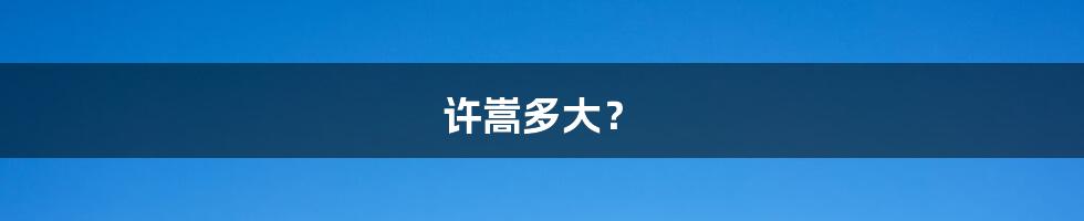 许嵩多大?